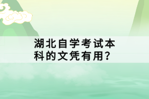 湖北自學(xué)考試本科的文憑有用？