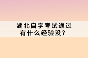 湖北自學(xué)考試通過有什么經(jīng)驗(yàn)沒？