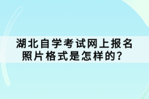 湖北自學考試網(wǎng)上報名照片格式是怎樣的？