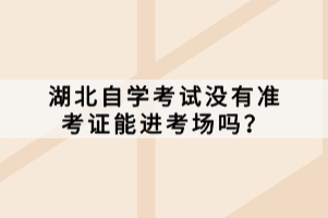 湖北自學考試沒有準考證能進考場嗎？