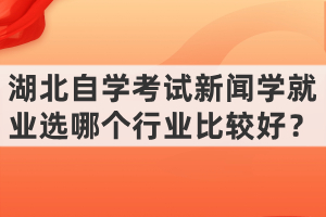 湖北自學(xué)考試新聞學(xué)就業(yè)選哪個行業(yè)比較好？