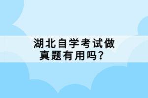 湖北自學(xué)考試做真題有用嗎？