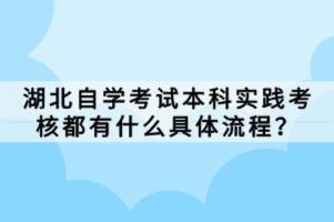 湖北自學考試本科實踐考核都有什么具體流程？