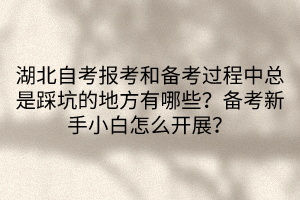 湖北自考報考和備考過程中總是踩坑的地方有哪些？備考新手小白怎么開展？