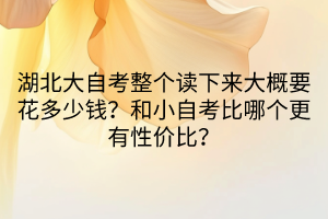 湖北大自考整個讀下來大概要花多少錢？和小自考比哪個更有性價比？