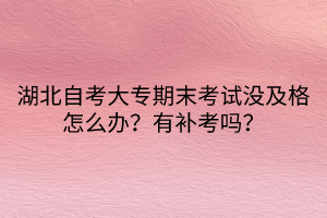 湖北自考大專期末考試沒及格怎么辦？有補(bǔ)考嗎？