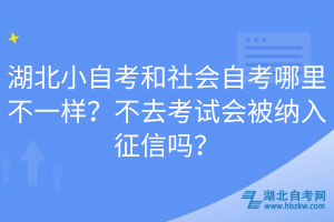 湖北小自考和社會自考哪里不一樣？不去考試會被納入征信嗎？