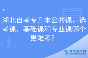 湖北自考專(zhuān)升本公共課，選考課，基礎(chǔ)課和專(zhuān)業(yè)課哪個(gè)更難考？