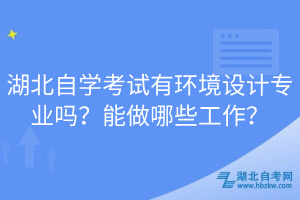 湖北自學(xué)考試有環(huán)境設(shè)計(jì)專業(yè)嗎？能做哪些工作？