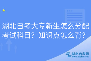 湖北自考大專新生怎么分配考試科目？知識點怎么背？