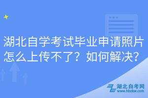 湖北自學(xué)考試畢業(yè)申請照片怎么上傳不了？如何解決？