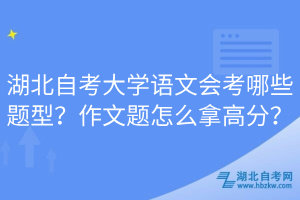 湖北自考大學語文會考哪些題型？作文題怎么拿高分？