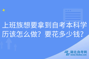 上班族想要拿到自考本科學(xué)歷該怎么做？要花多少錢？