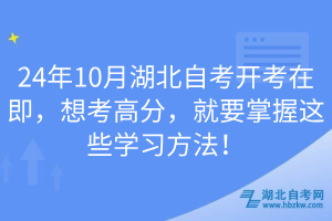 24年10月湖北自考開考在即，想考高分，就要掌握這些學習方法！