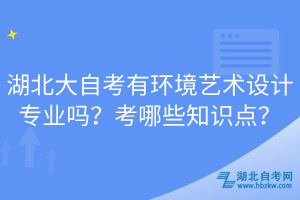 湖北大自考有環(huán)境藝術設計專業(yè)嗎？考哪些知識點？