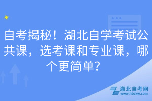 自考揭秘！湖北自學(xué)考試公共課，選考課和專業(yè)課，哪個更簡單？