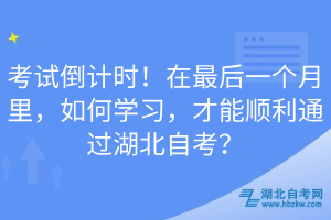 考試倒計時！在最后一個月里，如何學習，才能順利通過湖北自考？