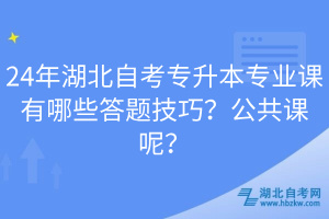 24年湖北自考專(zhuān)升本專(zhuān)業(yè)課有哪些答題技巧？公共課呢？