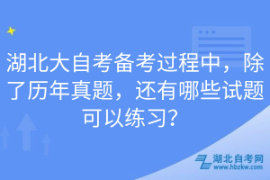 湖北大自考備考過程中，除了歷年真題，還有哪些試題可以練習(xí)？