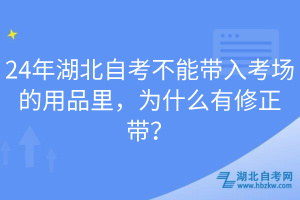 24年湖北自考不能帶入考場的用品里，為什么有修正帶？