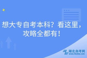 想大專自考本科？看這里，攻略全都有！