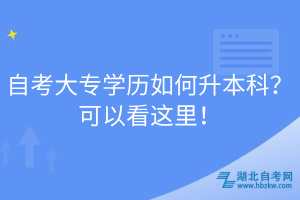 自考大專學(xué)歷如何升本科？可以看這里！