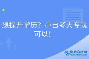 想提升學(xué)歷？小自考大專就可以！