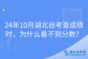 24年10月湖北自考查成績時，為什么看不到分數(shù)？