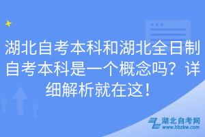 湖北自考本科和湖北全日制自考本科是一個概念嗎？詳細解析就在這！