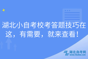 湖北小自考?？即痤}技巧在這，有需要，就來查看！