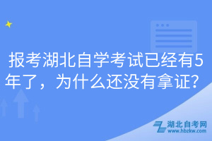 報(bào)考湖北自學(xué)考試已經(jīng)有5年了，為什么還沒有拿證？