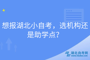 想報(bào)湖北小自考，選機(jī)構(gòu)還是助學(xué)點(diǎn)？