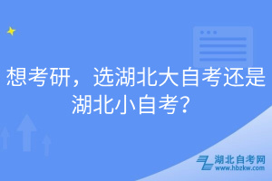 想考研，選湖北大自考還是湖北小自考？