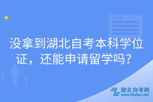 沒拿到湖北自考本科學(xué)位證，還能申請(qǐng)留學(xué)嗎？