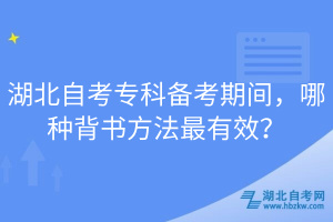 湖北自考?？苽淇计陂g，哪種背書方法最有效？