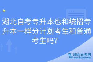 湖北自考專升本也和統(tǒng)招專升本一樣分計劃考生和普通考生嗎？