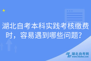 湖北自考本科實(shí)踐考核繳費(fèi)時(shí)，容易遇到哪些問題？