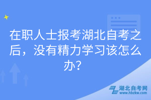 在職人士報考湖北自考之后，沒有精力學(xué)習(xí)該怎么辦？