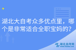 湖北大自考眾多優(yōu)點(diǎn)里，哪個(gè)是非常適合全職寶媽的？