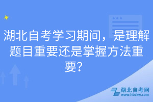 湖北自考學(xué)習(xí)期間，是理解題目重要還是掌握方法重要？