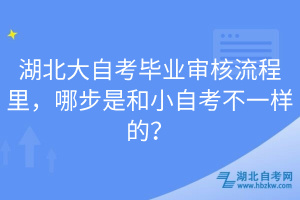 湖北大自考畢業(yè)審核流程里，哪步是和小自考不一樣的？