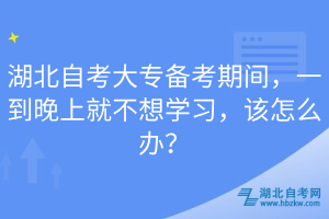 湖北自考大專備考期間，一到晚上就不想學習，該怎么辦？