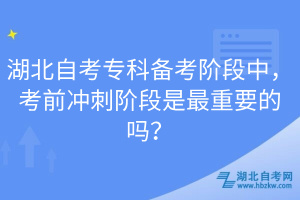 湖北自考?？苽淇茧A段中，考前沖刺階段是最重要的嗎？