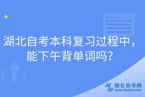 湖北自考本科復(fù)習(xí)過程中，能下午背單詞嗎？