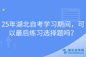 25年湖北自考學(xué)習(xí)期間，可以最后練習(xí)選擇題嗎？