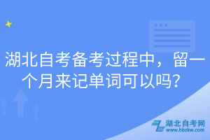 湖北自考備考過程中，留一個月來記單詞可以嗎？