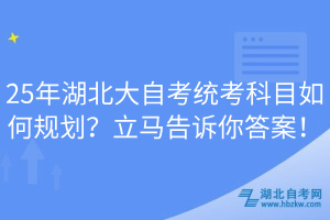 25年湖北大自考統(tǒng)考科目如何規(guī)劃？立馬告訴你答案！