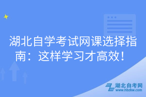 湖北自學(xué)考試網(wǎng)課選擇指南：這樣學(xué)習(xí)才高效！