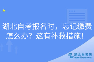 湖北自考報(bào)名時(shí)，忘記繳費(fèi)怎么辦？這有補(bǔ)救措施！