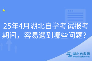 25年4月湖北自學考試報考期間，容易遇到哪些問題？